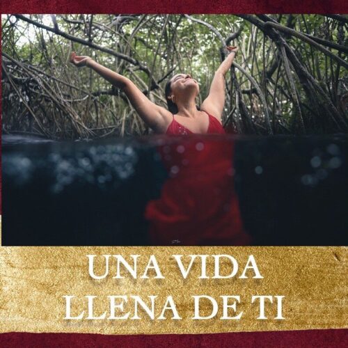 Una vida llena de ti 2da edición